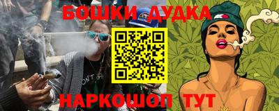 амф Кингисепп