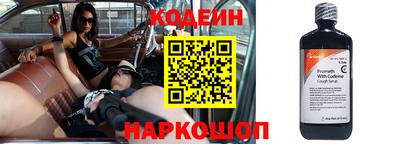 амф Кингисепп